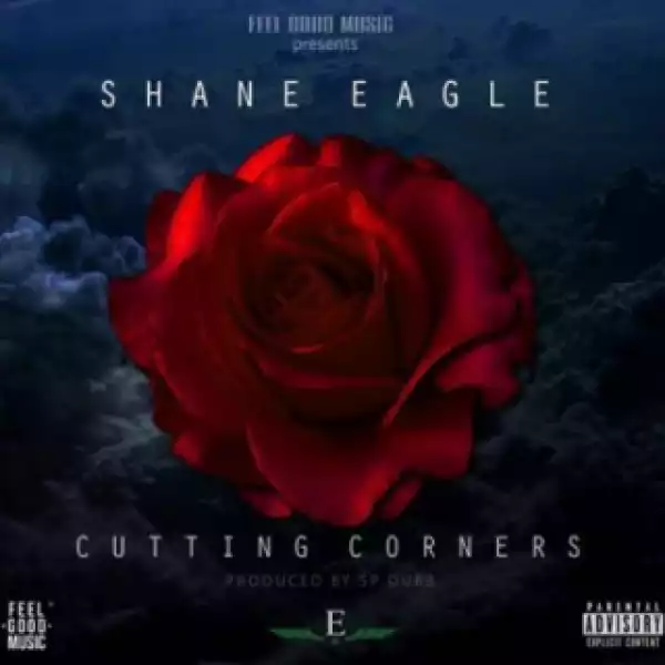 Shane Eagle - Cutting Corners